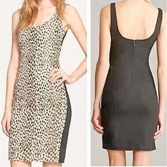 Diane Von Furstenberg Arianna Leopard Seath Dress | Size 10 - Picture 4 of 16